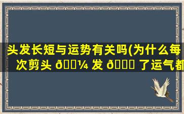 头发长短与运势有关吗(为什么每次剪头 🌼 发 🐋 了运气都不好)